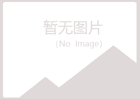 龙山区从梦咨询有限公司